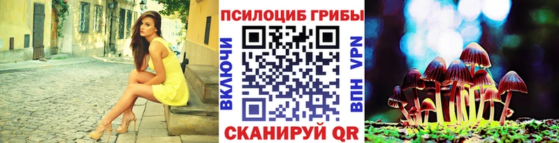 Галлюциногенные грибы Cubensis  Западная Двина 
