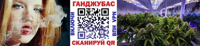 это формула  Западная Двина  Конопля гибрид 